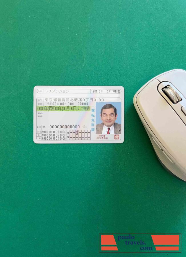 Japan DL photolook FRONT PSD template